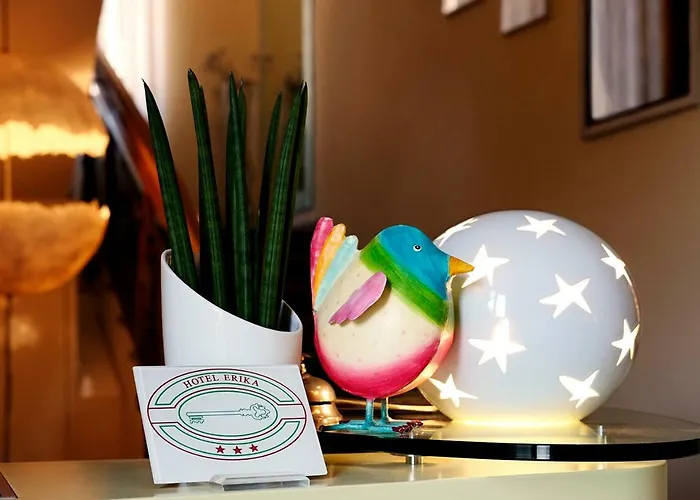 Erika Hotel 3*