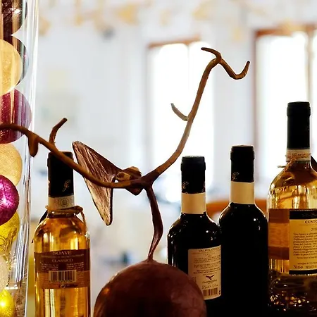 Erika 3* مالتشيزينيه