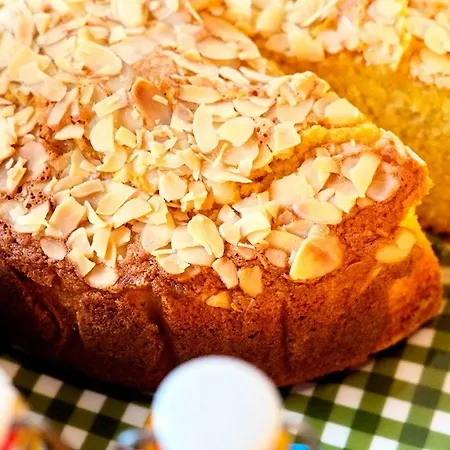 فندق Erika مالتشيزينيه