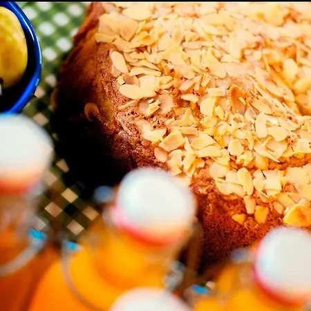 Erika مالتشيزينيه