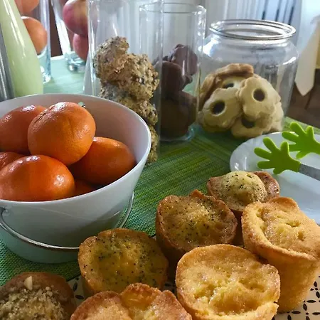 爱丽卡酒店 酒店