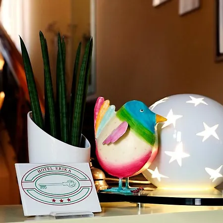 爱丽卡酒店 酒店 3*