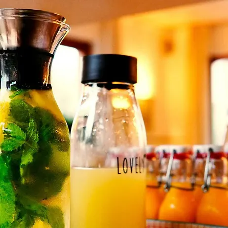 爱丽卡酒店 马尔切西内