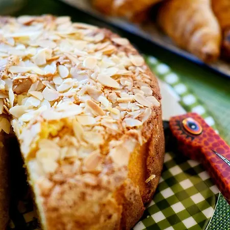 酒店 爱丽卡酒店